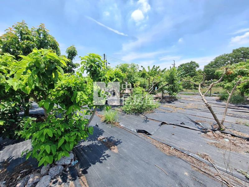 歸仁崙子頂農地房屋室內格局與周邊環境