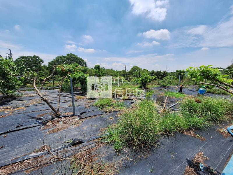 歸仁崙子頂農地房屋室內格局與周邊環境