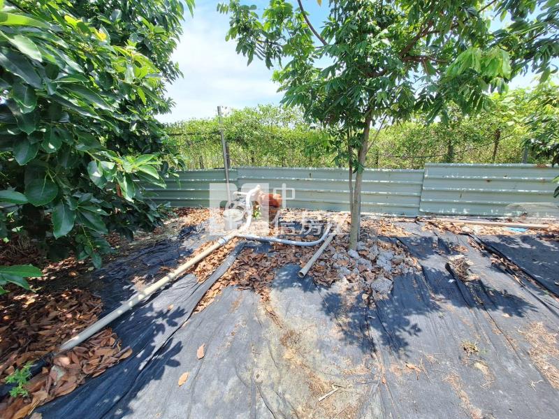 歸仁崙子頂農地房屋室內格局與周邊環境