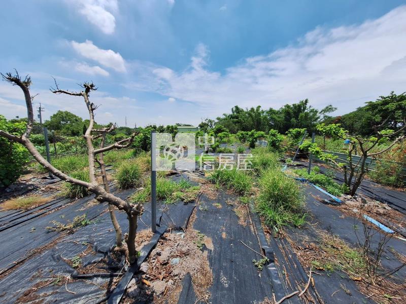 歸仁崙子頂農地房屋室內格局與周邊環境