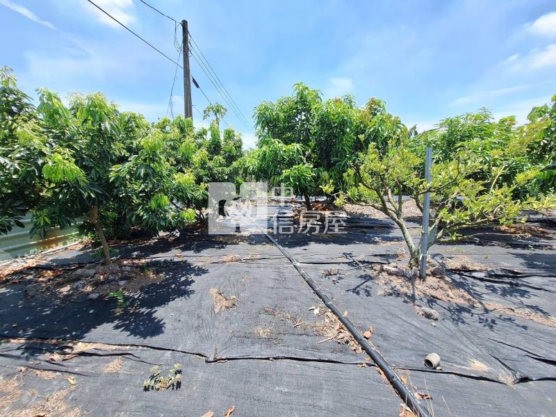 歸仁崙子頂農地房屋室內格局與周邊環境