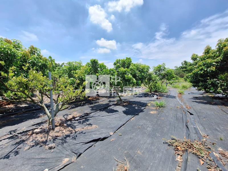 歸仁崙子頂農地房屋室內格局與周邊環境