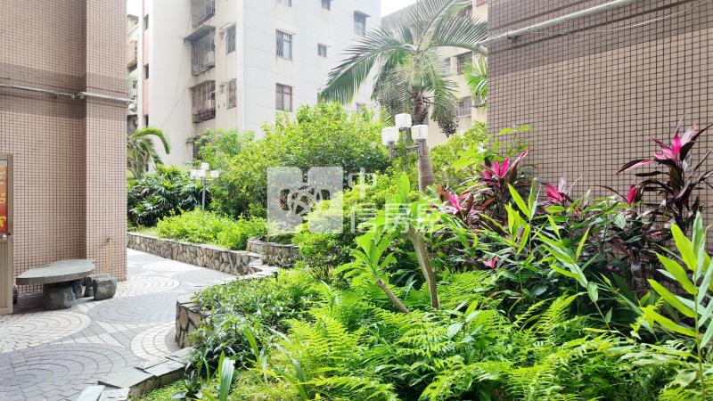 民生商圈三房  ★影音空拍只在中信嘉義玉山店房屋室內格局與周邊環境