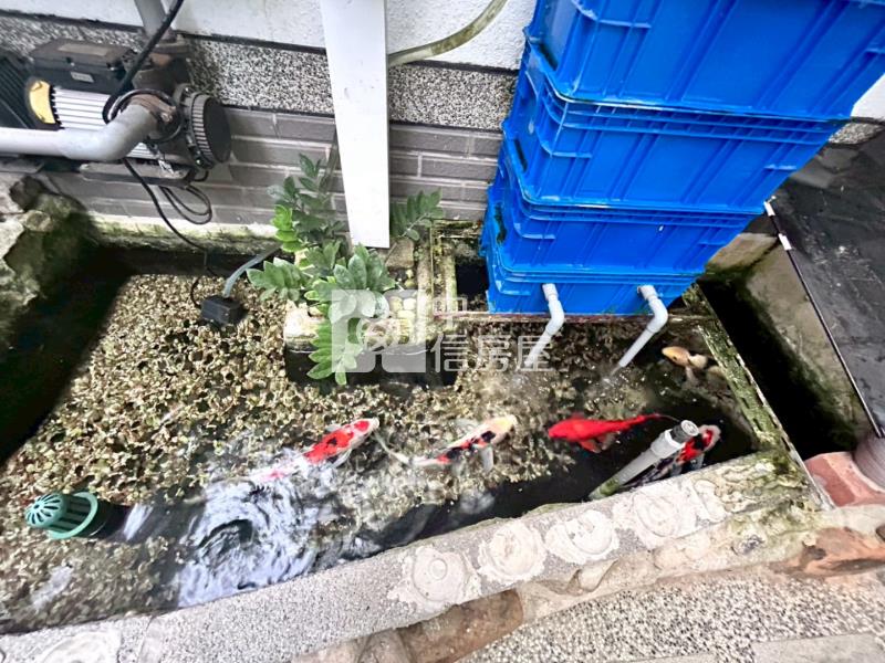 山曦楓泉🌿楊梅交流道前院雙車別墅.有孝親房房屋室內格局與周邊環境