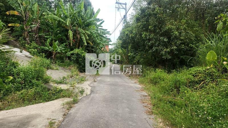 鄰台20左鎮四分農建地房屋室內格局與周邊環境