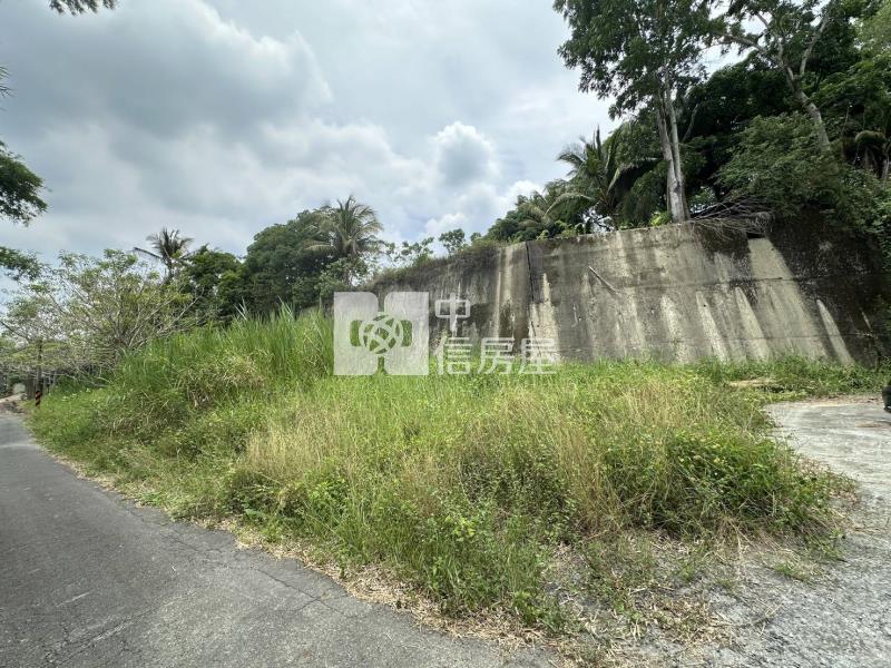 鄰台20左鎮四分農建地房屋室內格局與周邊環境