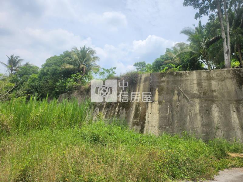 鄰台20左鎮四分農建地房屋室內格局與周邊環境