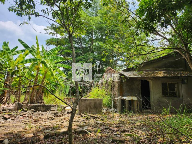 鄰台20左鎮四分農建地房屋室內格局與周邊環境