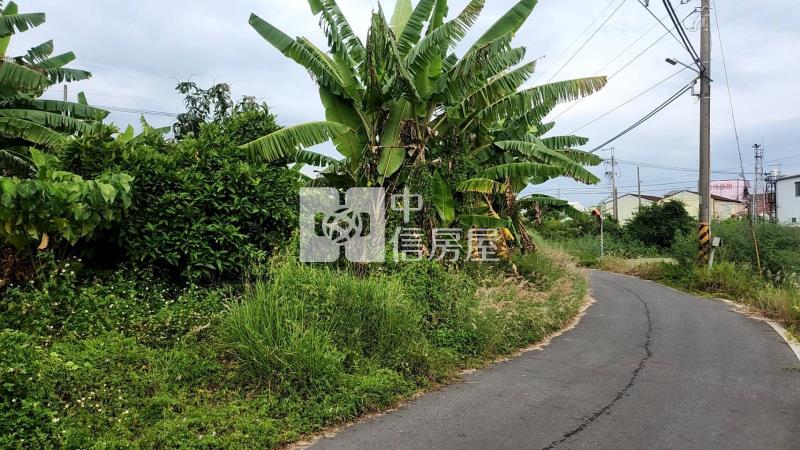 鄰台20左鎮四分農建地房屋室內格局與周邊環境