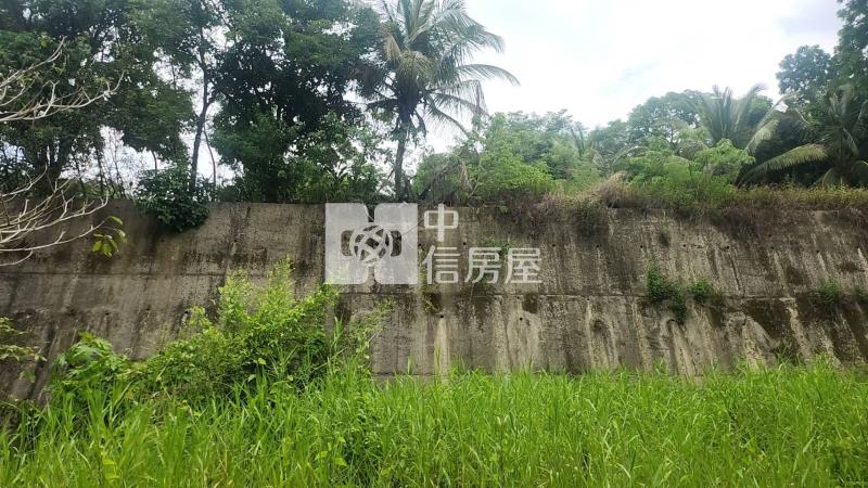 鄰台20左鎮四分農建地房屋室內格局與周邊環境