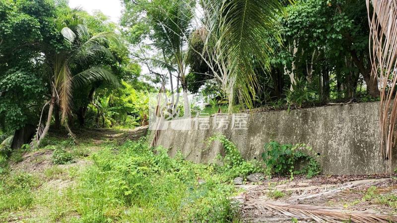 鄰台20左鎮四分農建地房屋室內格局與周邊環境