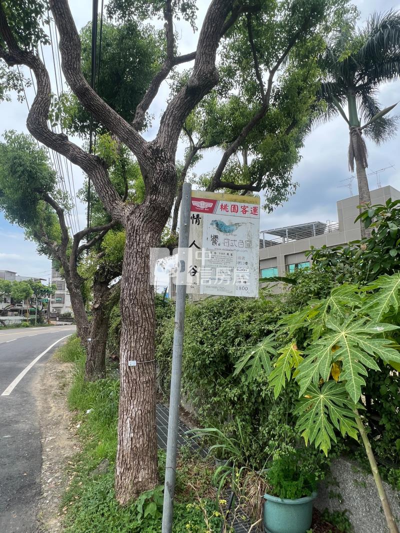 【奔馳】大溪雙面臨路工業地房屋室內格局與周邊環境
