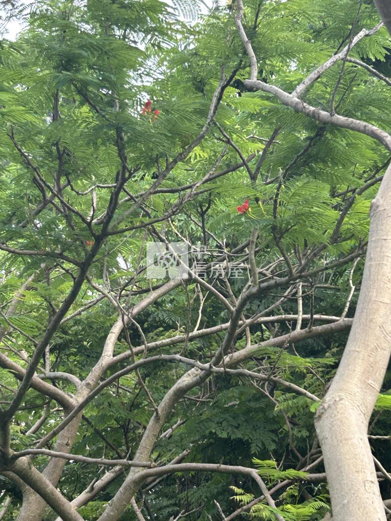 新竹縣新豐福興美農地房屋室內格局與周邊環境