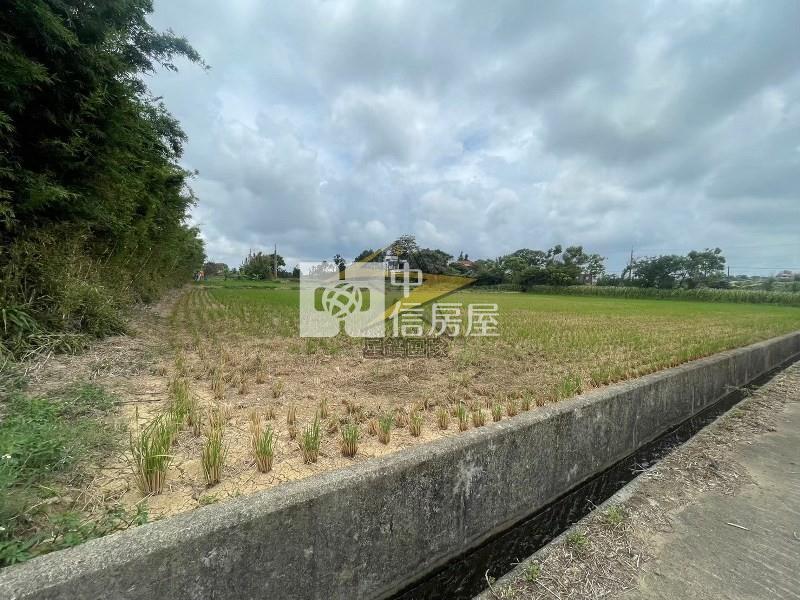 【星鑽】楊梅富岡國中面寬美農地房屋室內格局與周邊環境