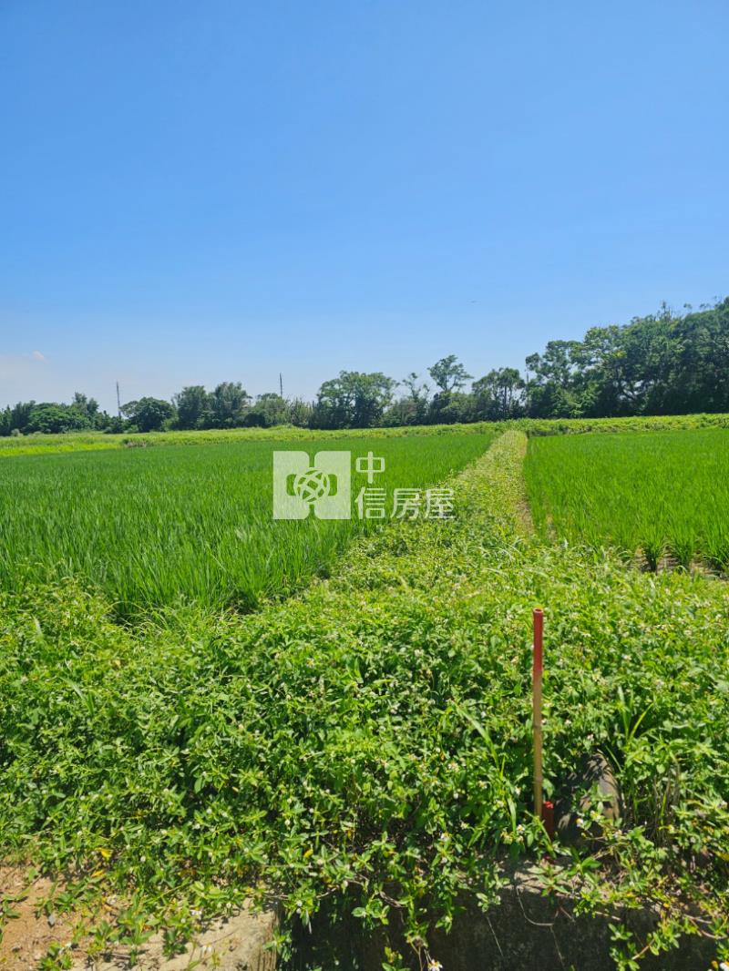新屋後湖6米路超美農地後湖小段房屋室內格局與周邊環境