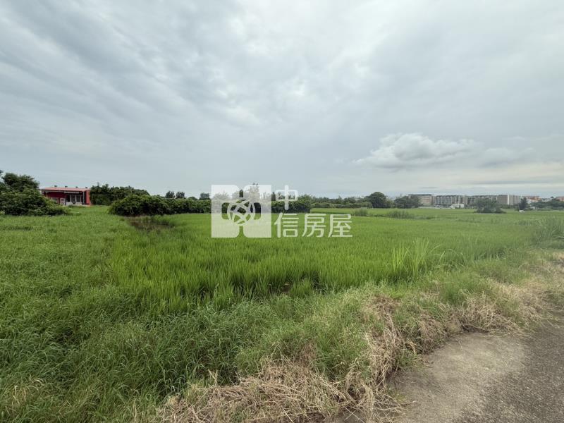 虎林農地房屋室內格局與周邊環境
