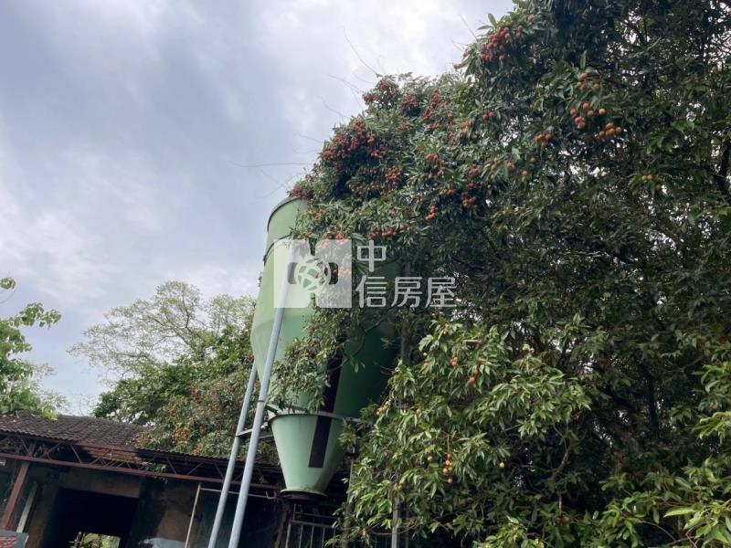 關廟彩繪村農地房屋室內格局與周邊環境