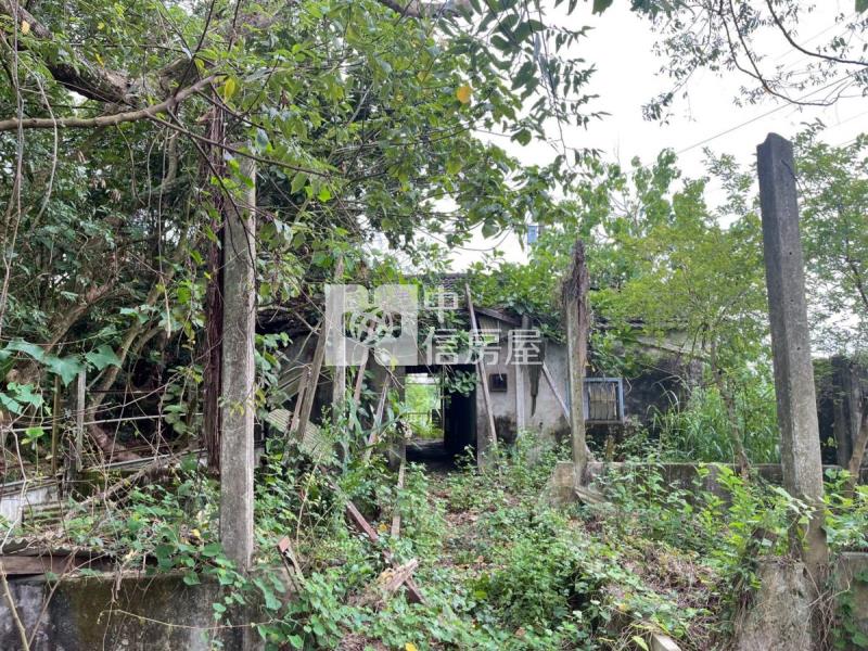 關廟彩繪村農地房屋室內格局與周邊環境