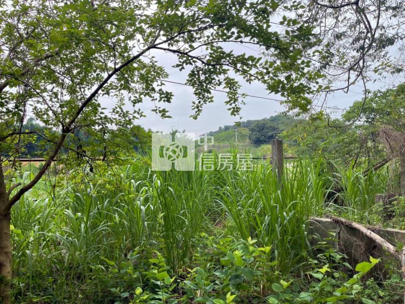 關廟彩繪村農地房屋室內格局與周邊環境