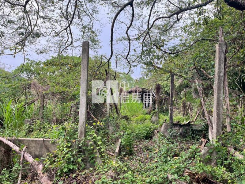 關廟彩繪村農地房屋室內格局與周邊環境