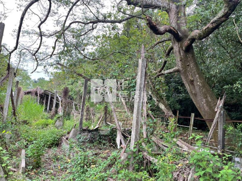 關廟彩繪村農地房屋室內格局與周邊環境