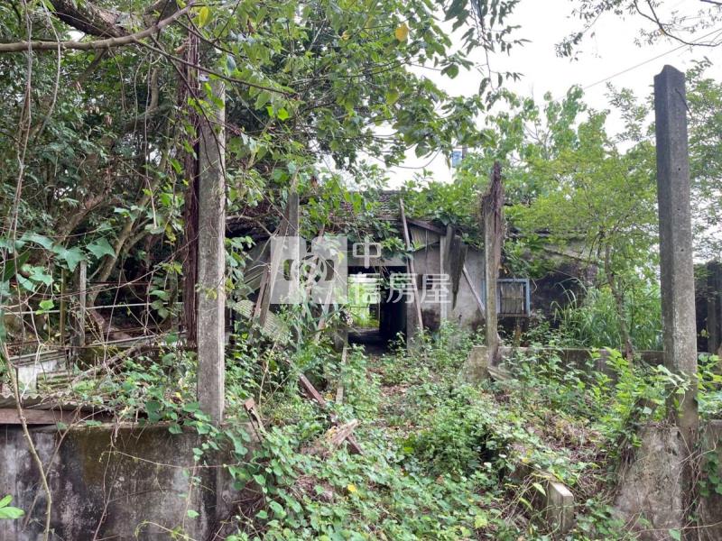 關廟彩繪村農地房屋室內格局與周邊環境