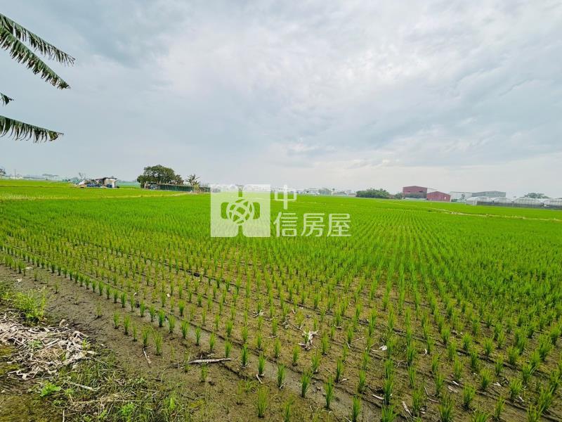 嘉義區段徵收農地房屋室內格局與周邊環境