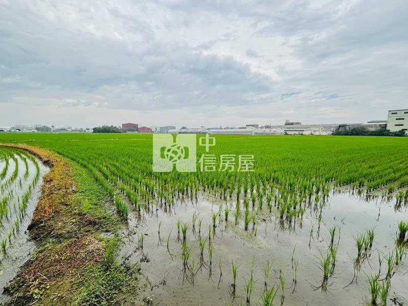 嘉義區段徵收農地房屋室內格局與周邊環境