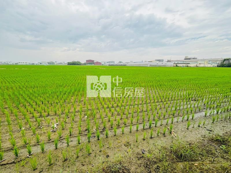 嘉義區段徵收農地房屋室內格局與周邊環境
