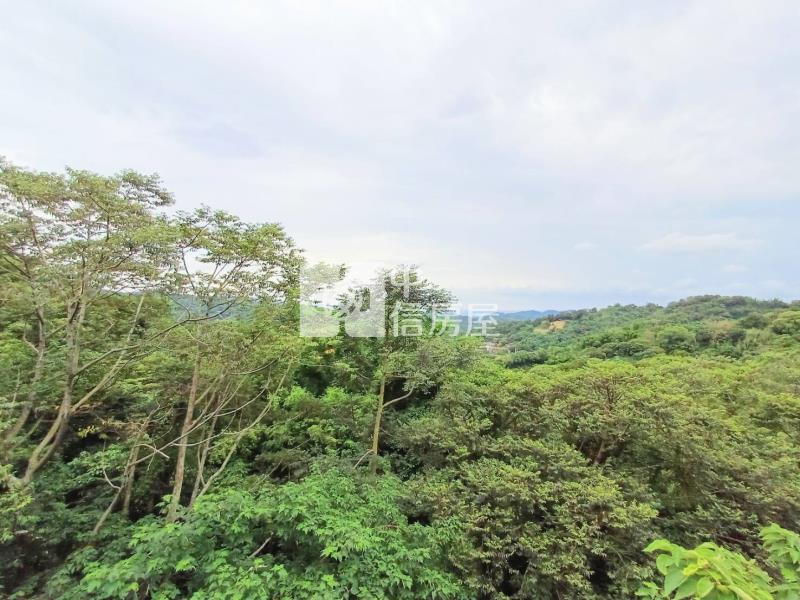 東山路大面寬景觀農地房屋室內格局與周邊環境