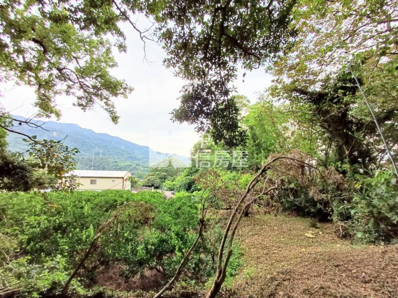東山路大面寬景觀農地房屋室內格局與周邊環境