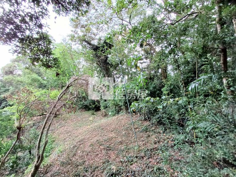 東山路大面寬景觀農地房屋室內格局與周邊環境