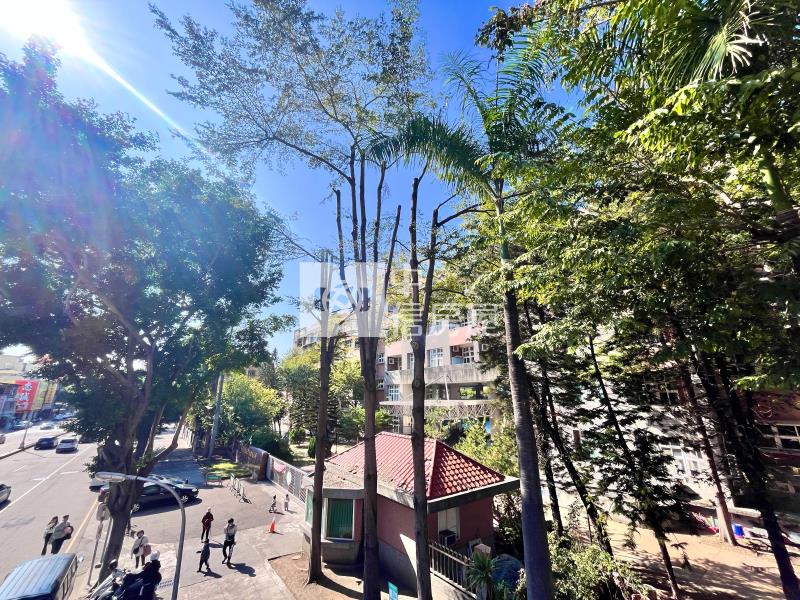 正進化路邊間金透店房屋室內格局與周邊環境