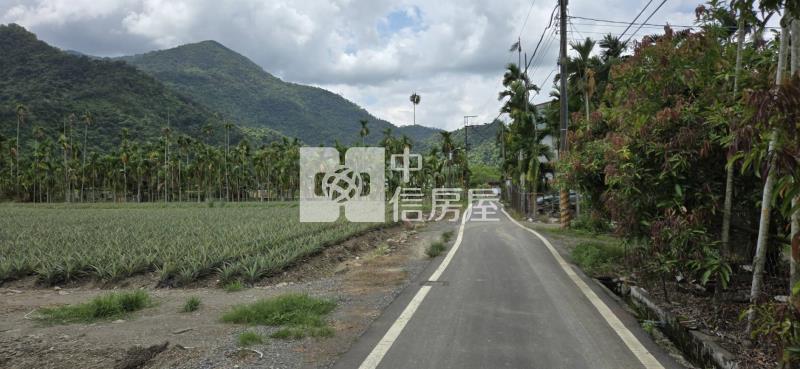 親水公園休閒農地7分房屋室內格局與周邊環境