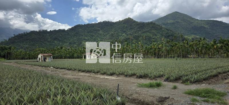 親水公園休閒農地7分房屋室內格局與周邊環境