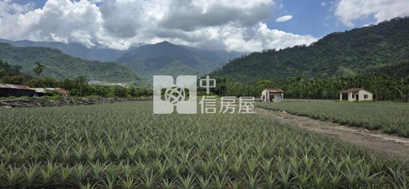 親水公園休閒農地7分房屋室內格局與周邊環境