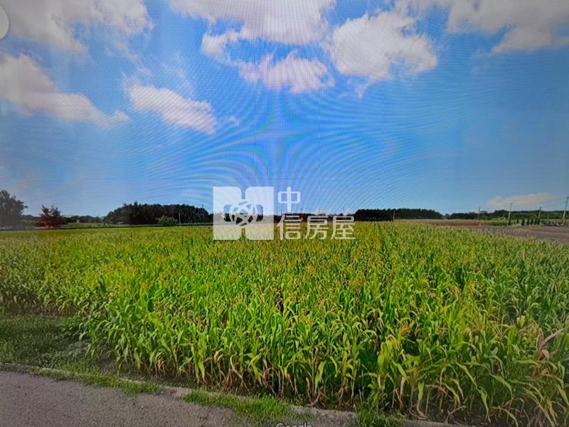 台西農地