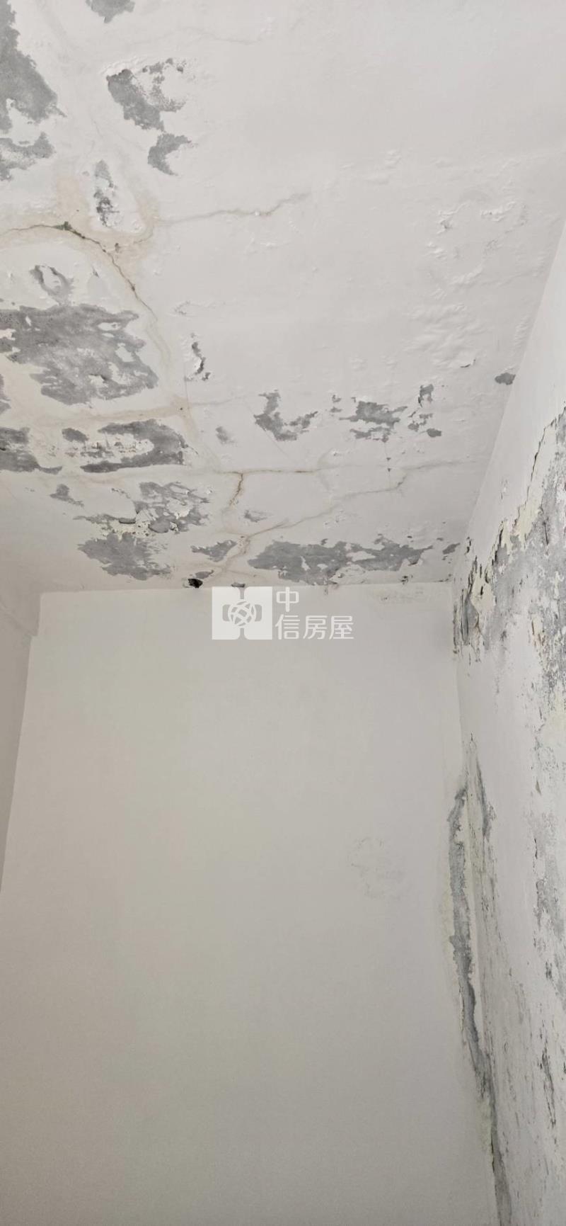 【專約】潮州泗林店住房屋室內格局與周邊環境