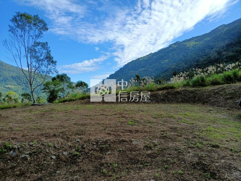J1-19溫泉區原保農地D房屋室內格局與周邊環境