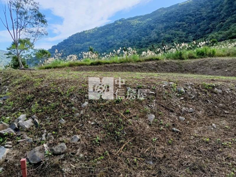 J1-19溫泉區原保農地D房屋室內格局與周邊環境