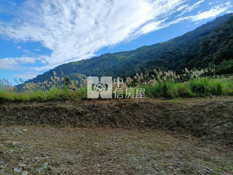 J1-19溫泉區原保農地D房屋室內格局與周邊環境