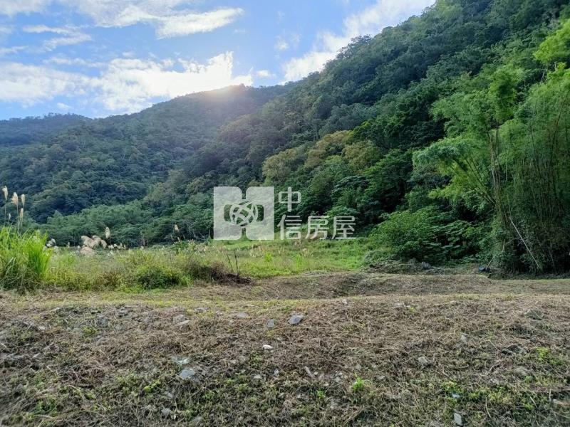 J1-19溫泉區原保農地D房屋室內格局與周邊環境