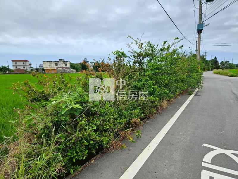 近台15線雙面路大面寬農地房屋室內格局與周邊環境