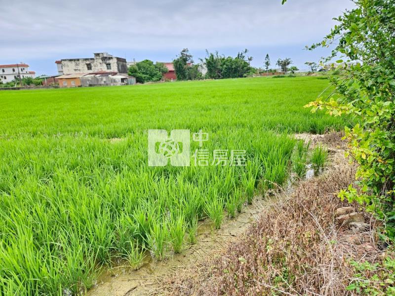 近台15線雙面路大面寬農地房屋室內格局與周邊環境