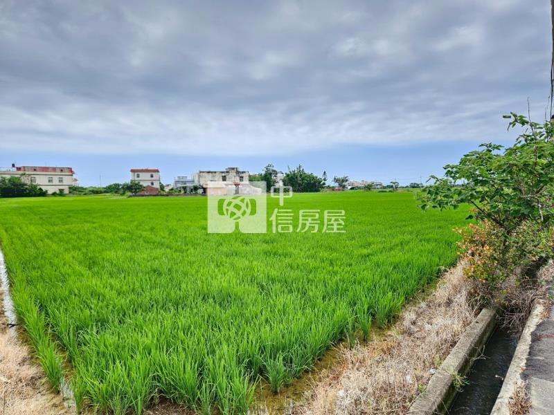近台15線雙面路大面寬農地房屋室內格局與周邊環境