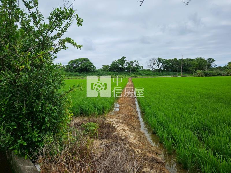近台15線雙面路大面寬農地房屋室內格局與周邊環境