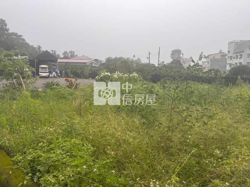 水頭甲建房屋室內格局與周邊環境
