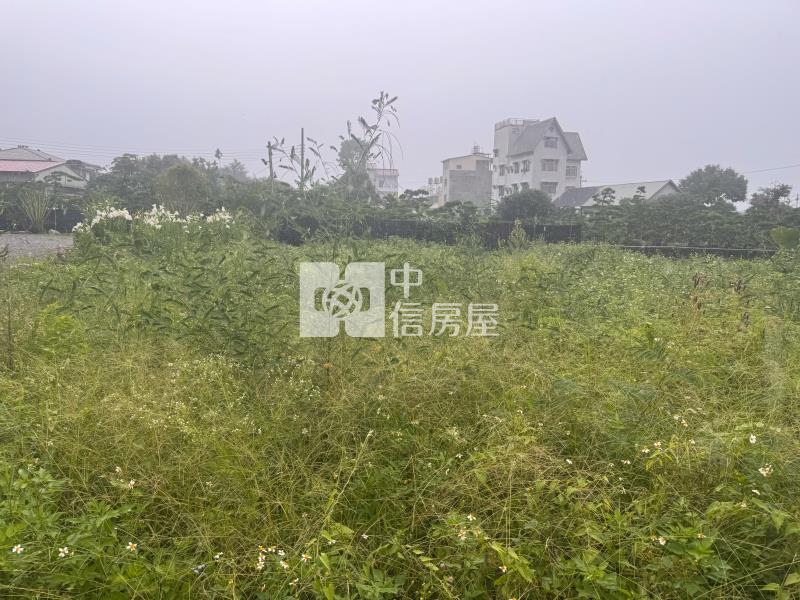 水頭甲建房屋室內格局與周邊環境