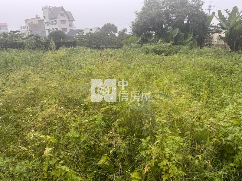 水頭甲建房屋室內格局與周邊環境