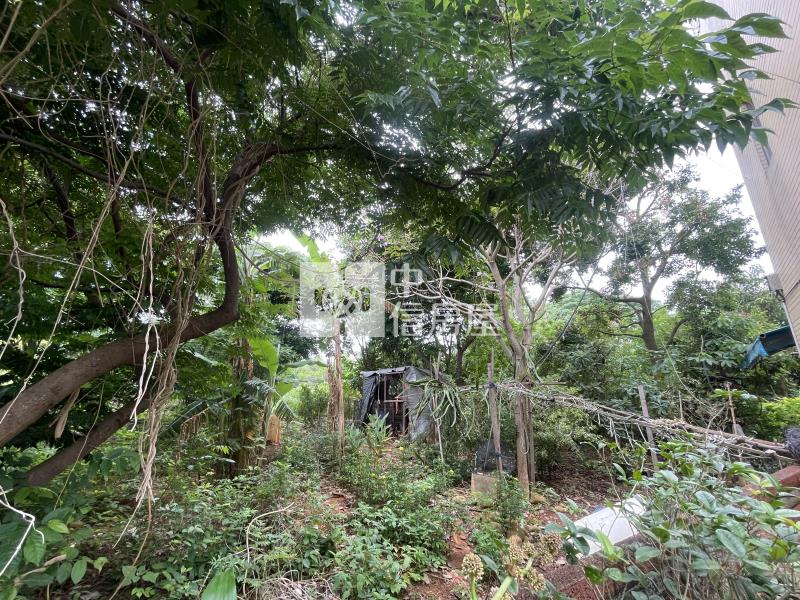 沙鹿新光⽥院區保護區⽤地房屋室內格局與周邊環境